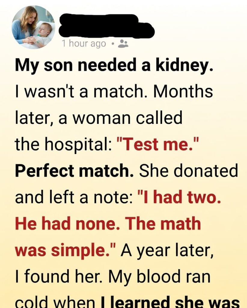 She Saved My Son’s Life With A Rare Donor Match—Then She Asked For One Favor That Left Me Speechless And Questioning Our $250,000 Medical Debt
